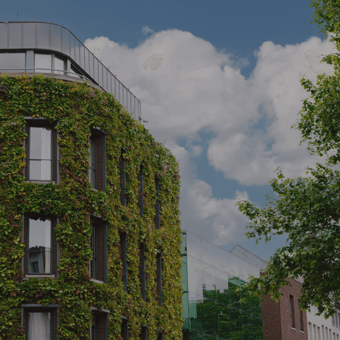 Green Living: A Tenant's Guide to Sustainable Renting in Newport