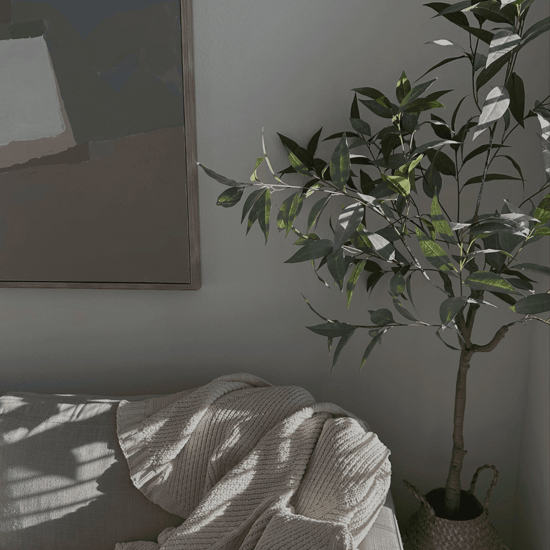 Plant Life: The Top 5 Best Indoor Plants for Homes in Cardiff, Newport & South Wales