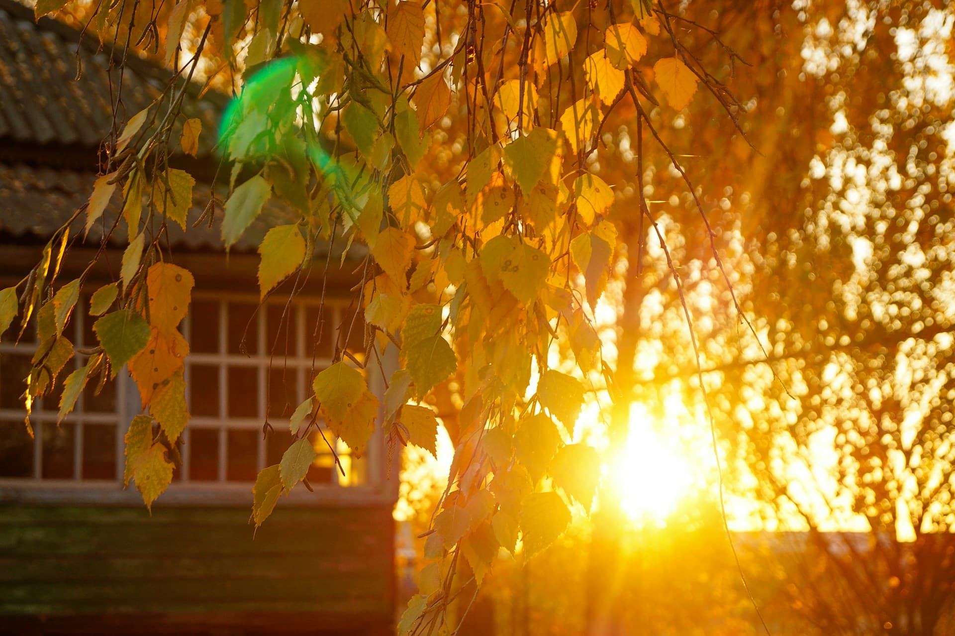 Autumn Home & Garden Checklist for Cardiff Tenants & Landlords