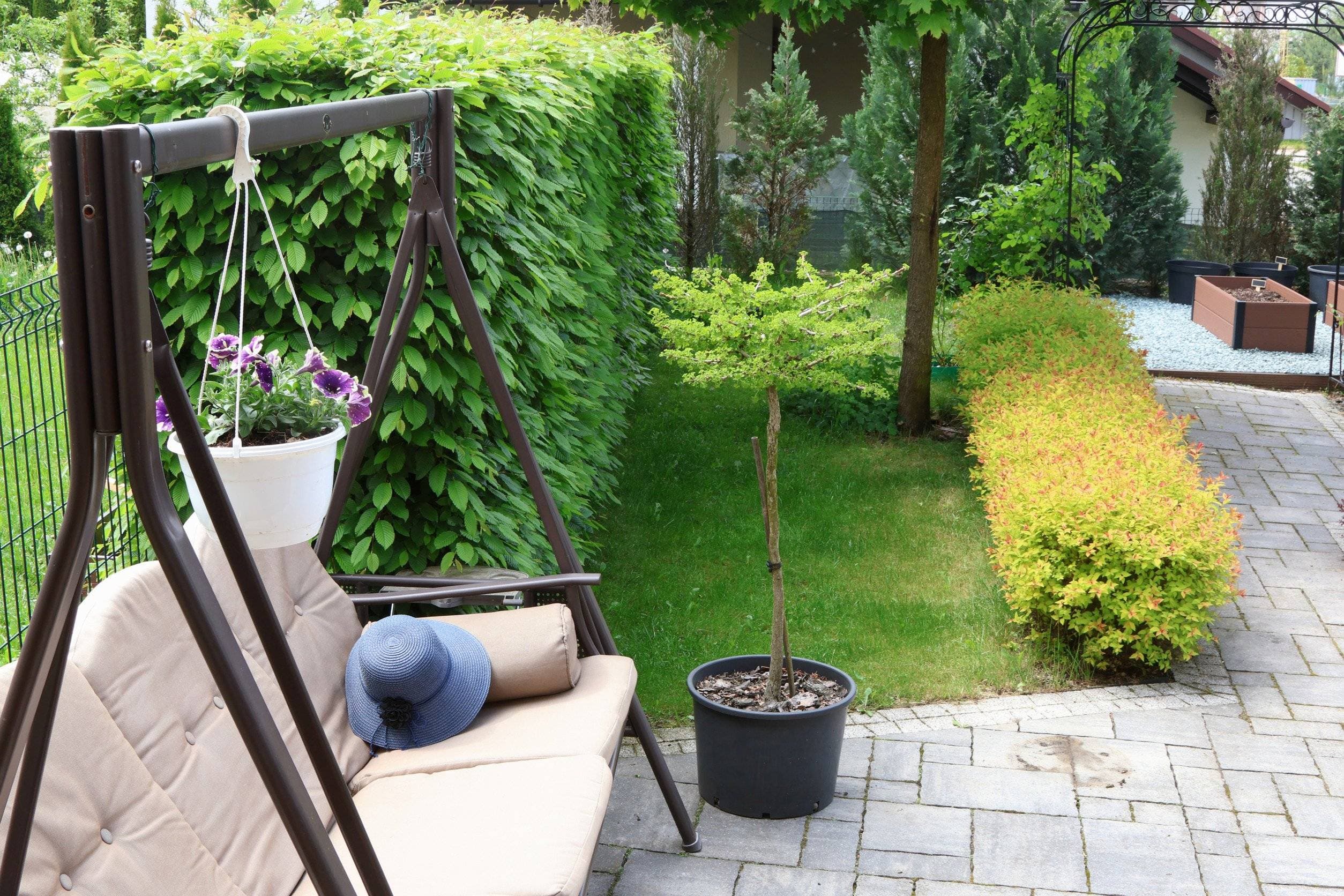 Low-Maintenance Garden Ideas for Newport Landlords