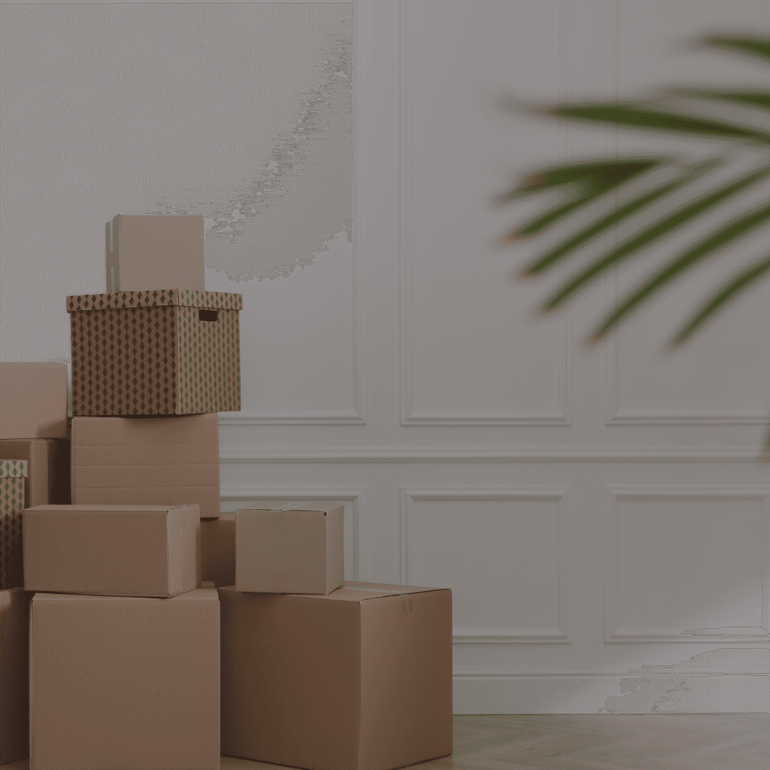 Under 30s: Uncertain About Renting? Here’s What Every First-Time Tenant Needs to Know in 2026