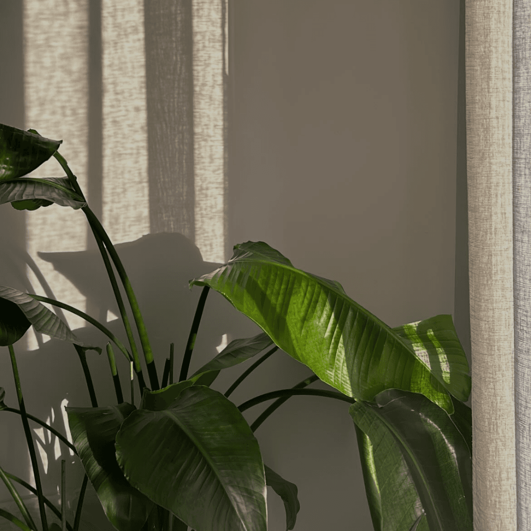 Will I Attract More Tenants as an Eco-Friendly Landlord in Cardiff, Newport or South Wales?