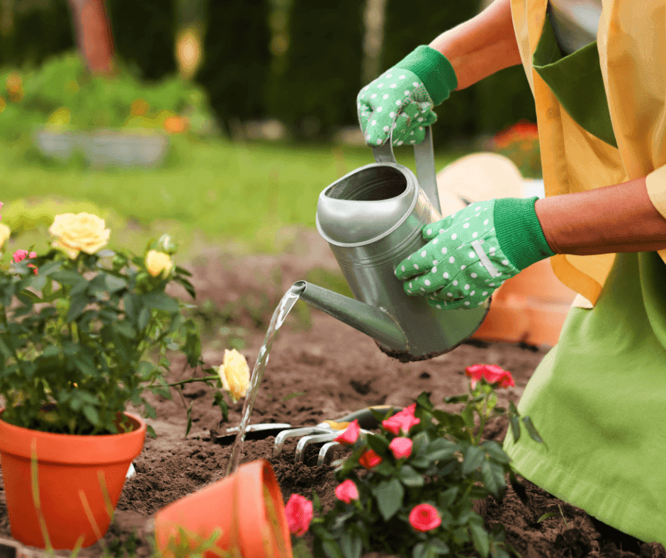 Who Looks After the Garden in a Rental Property? A Spring Guide for Landlords and Tenants in Cardiff, Newport & South Wales