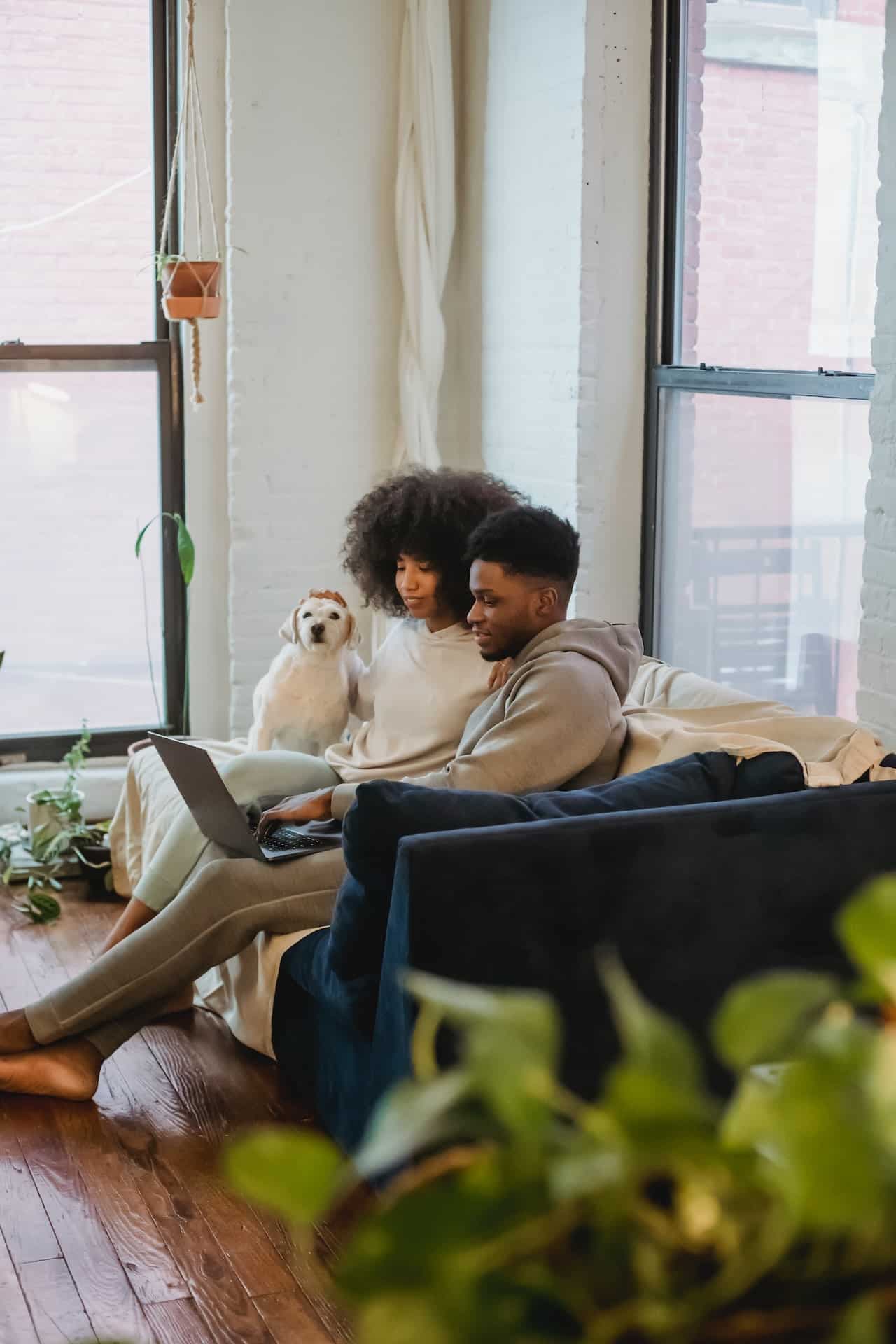 Register for Property Alerts